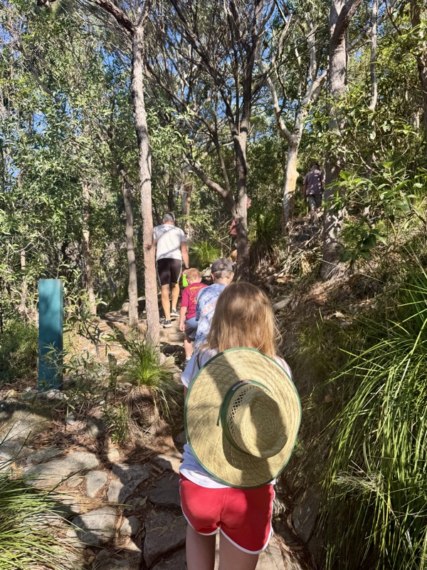 Bush walking trail at the base of the Mount Coolum hike, Sunshine Coast