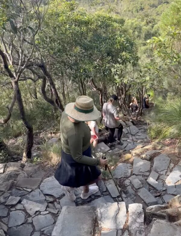 Hikers descending the steep rocky steps on the way down Mount Coolum
