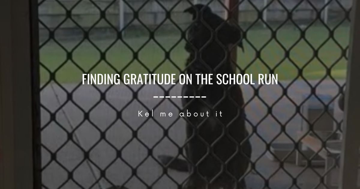 Header reading “Finding gratitude on the school run” over a child with a scooter behind a screen door