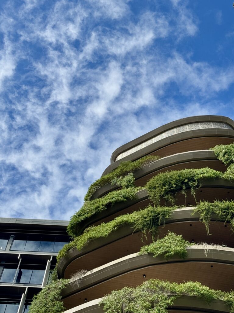 Looking up at the exterior of the Sunshine Coast City Hall building