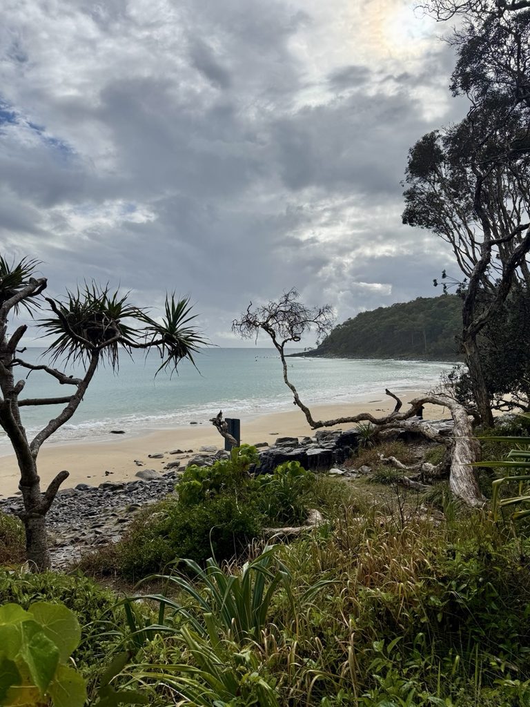 Rainy view in Noosa National Park