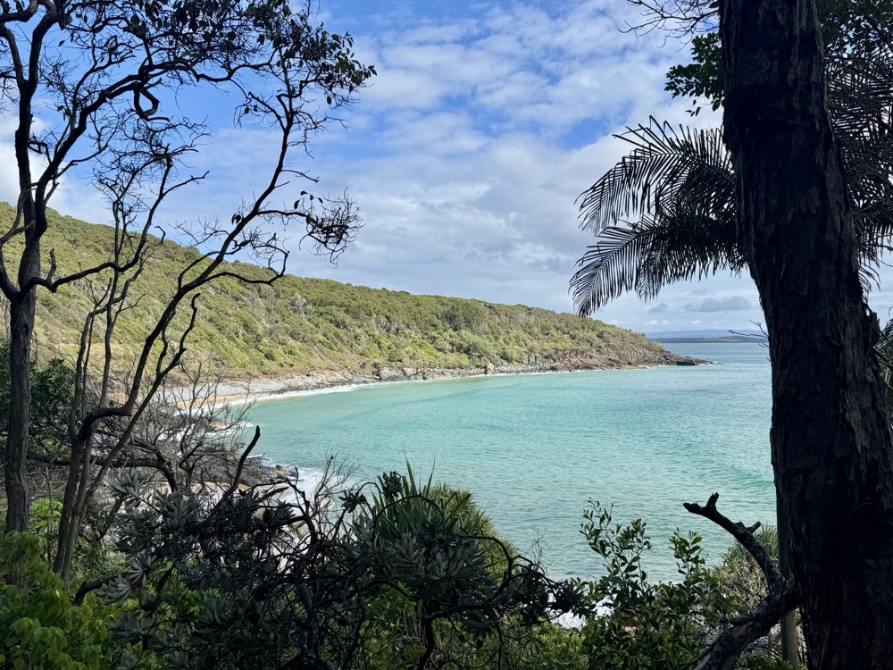 Sunny coastal view in Noosa National Park