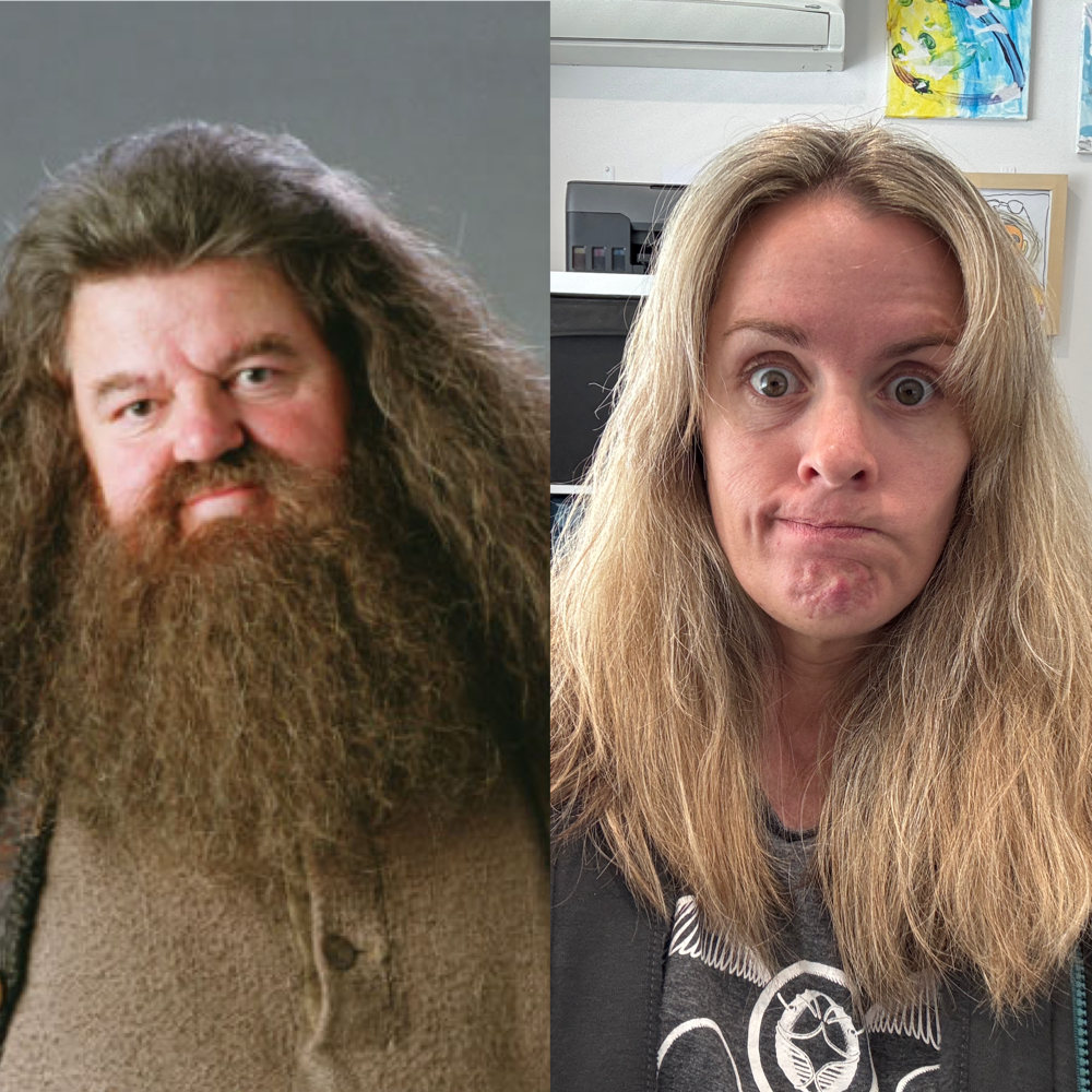 Side-by-side comparison of a blowout hairstyle and Hagrid from Harry Potter